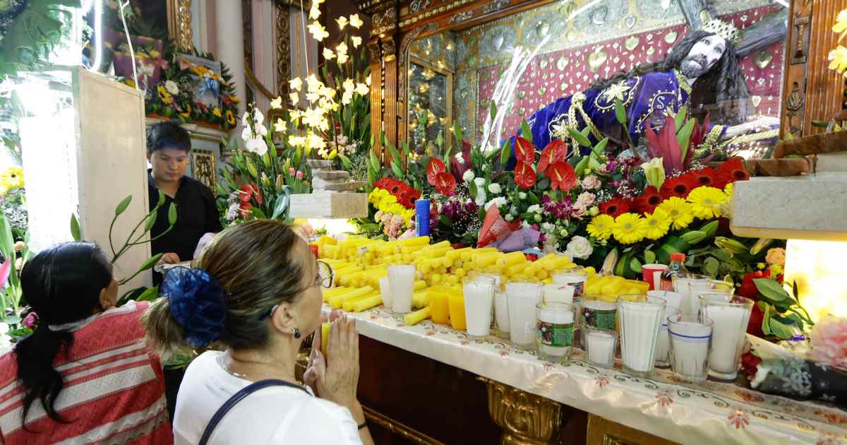 Señor de las Maravillas Señor de las Maravillas
