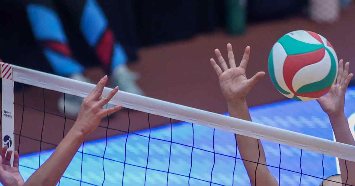 Volei Volei