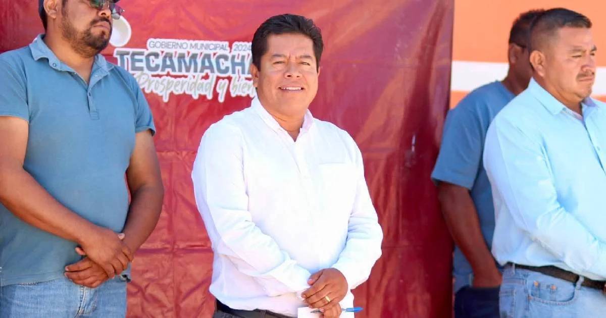 alseseca alseseca