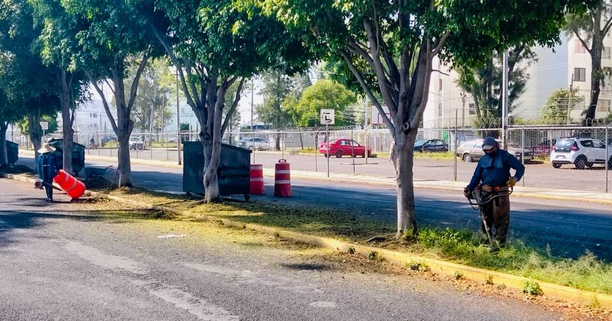 avenidas avenidas