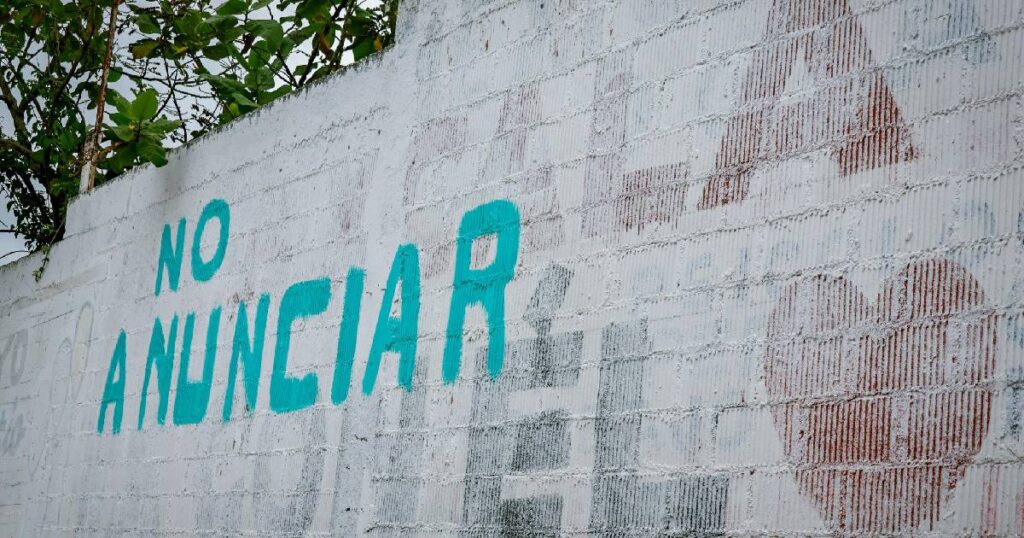Desecha IEE quejas del PAN contra Morena por pinta de bardas