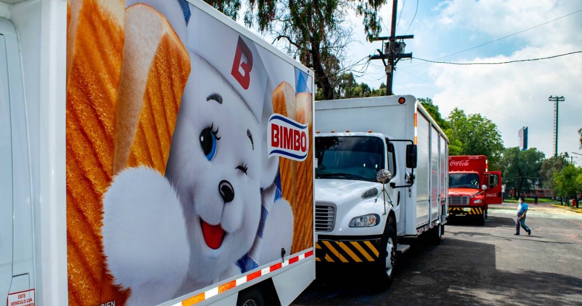 bimbo