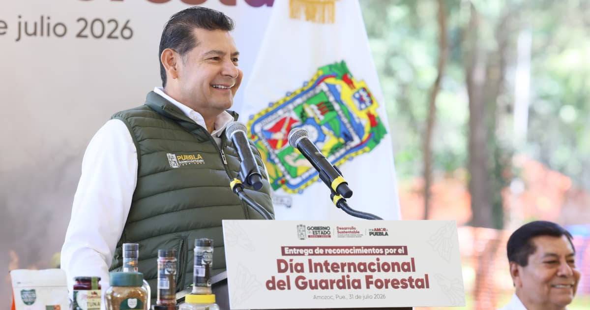 brigadistas