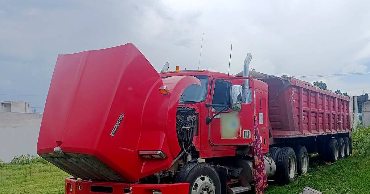 camion camion