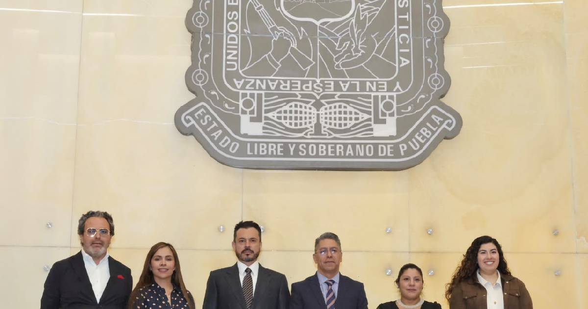comparecencia comparecencia