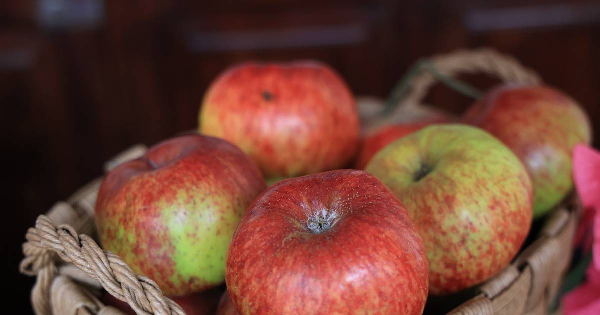 manzana manzana