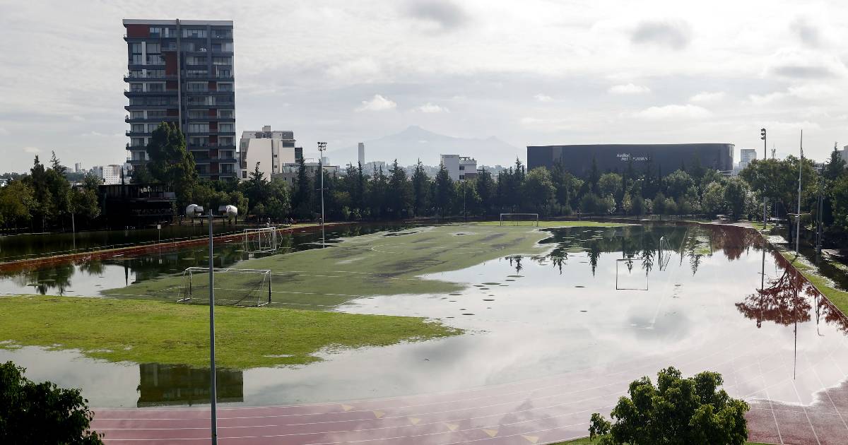 parque parque