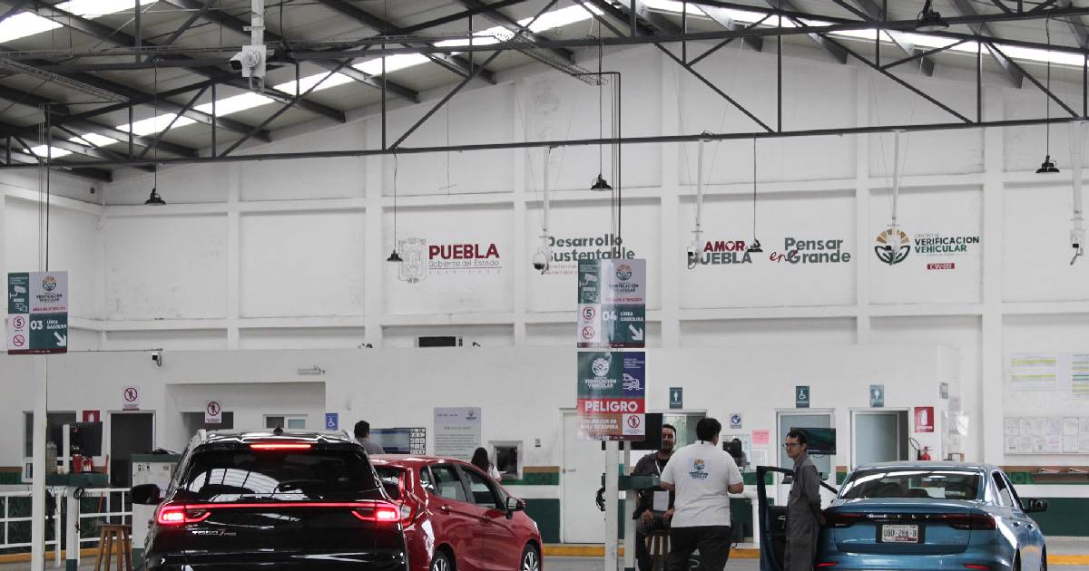 verificacion