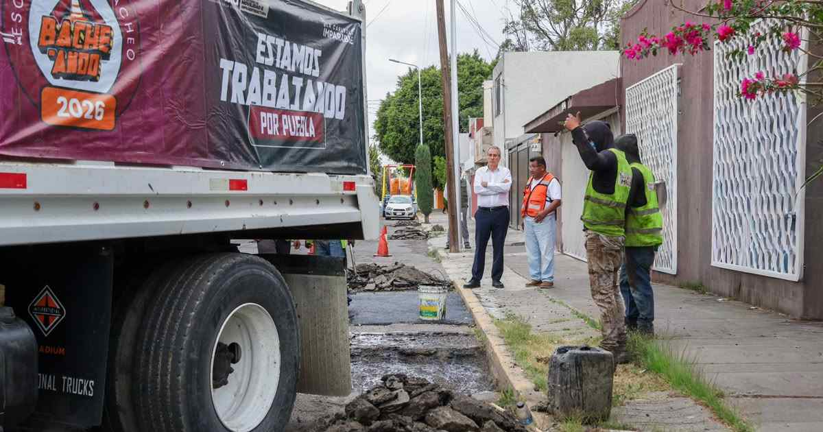 Bacheo Pepe Chedraui