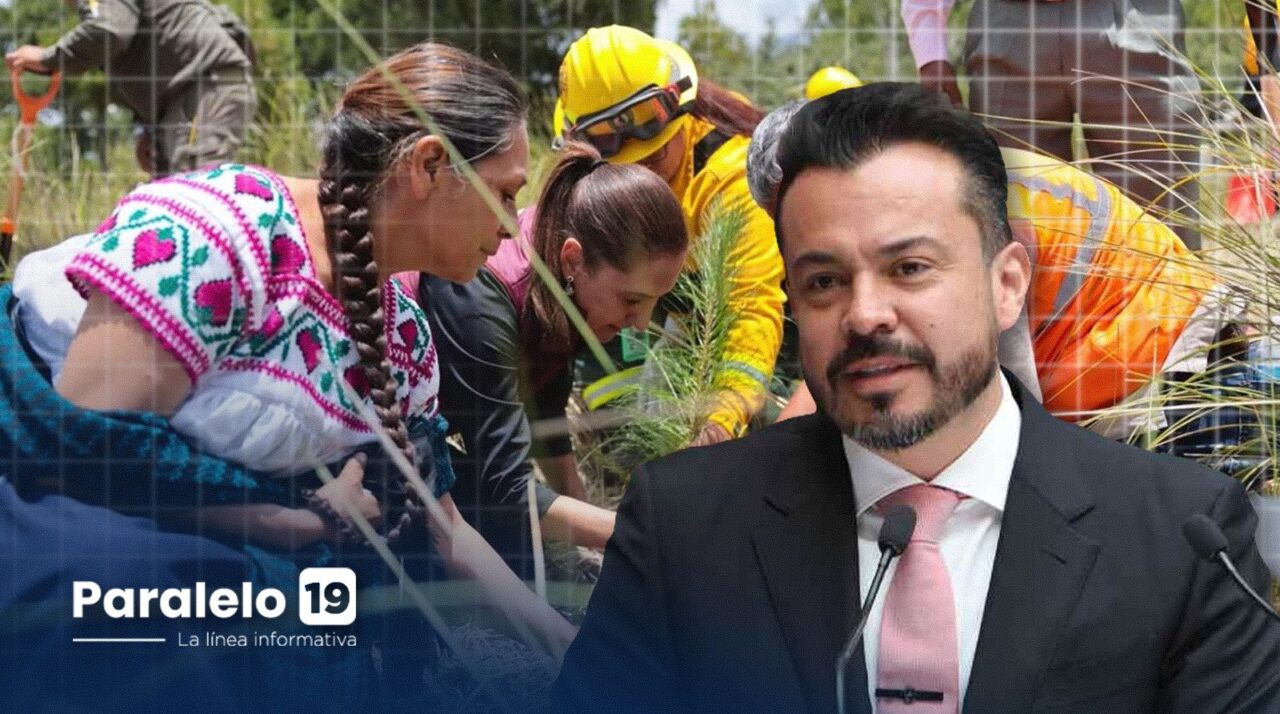García Parra y reforestación