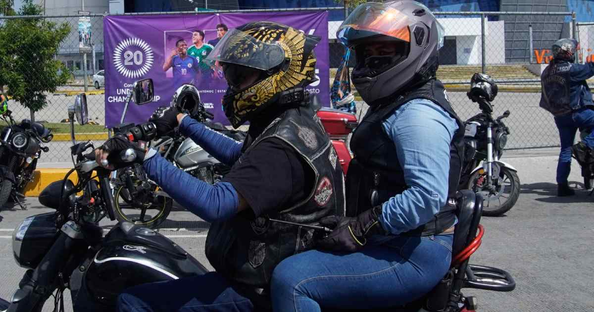 Ley casco