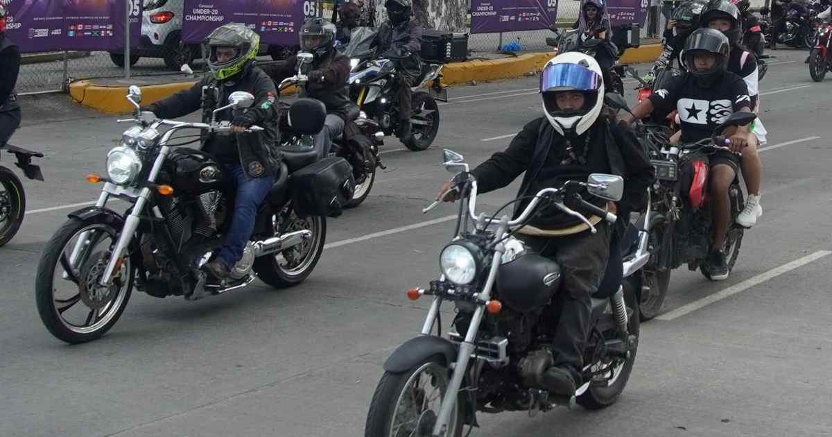 Ley casco Ley casco