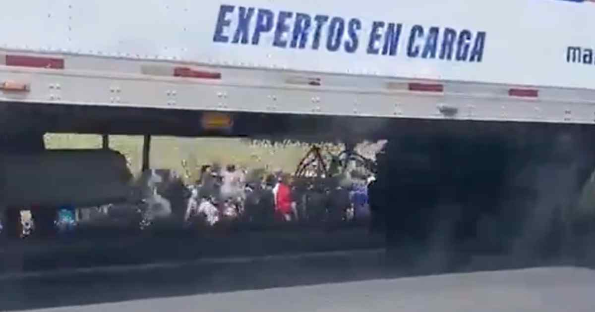 Rapiña de cerveza Rapiña de cerveza