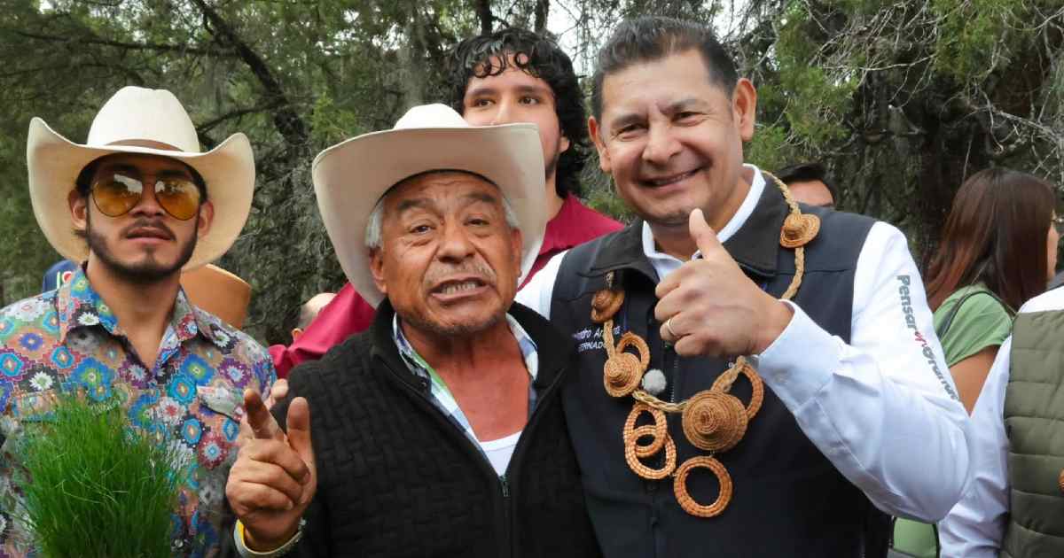Reforestación Puebla