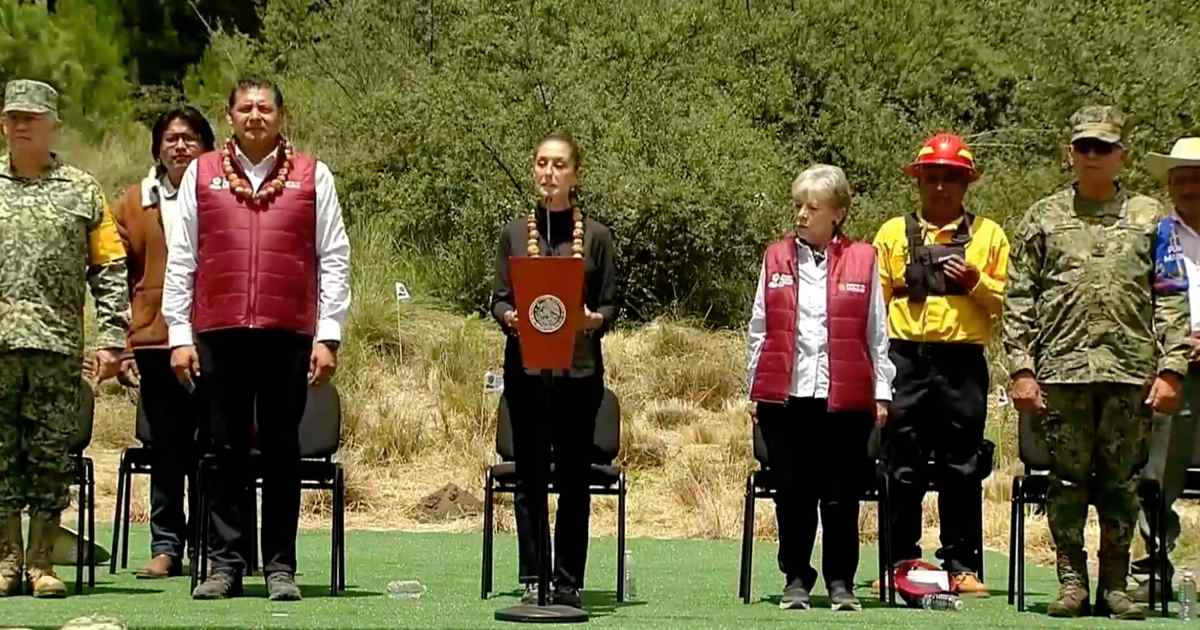 Sheinbaum y Armenta reforestación