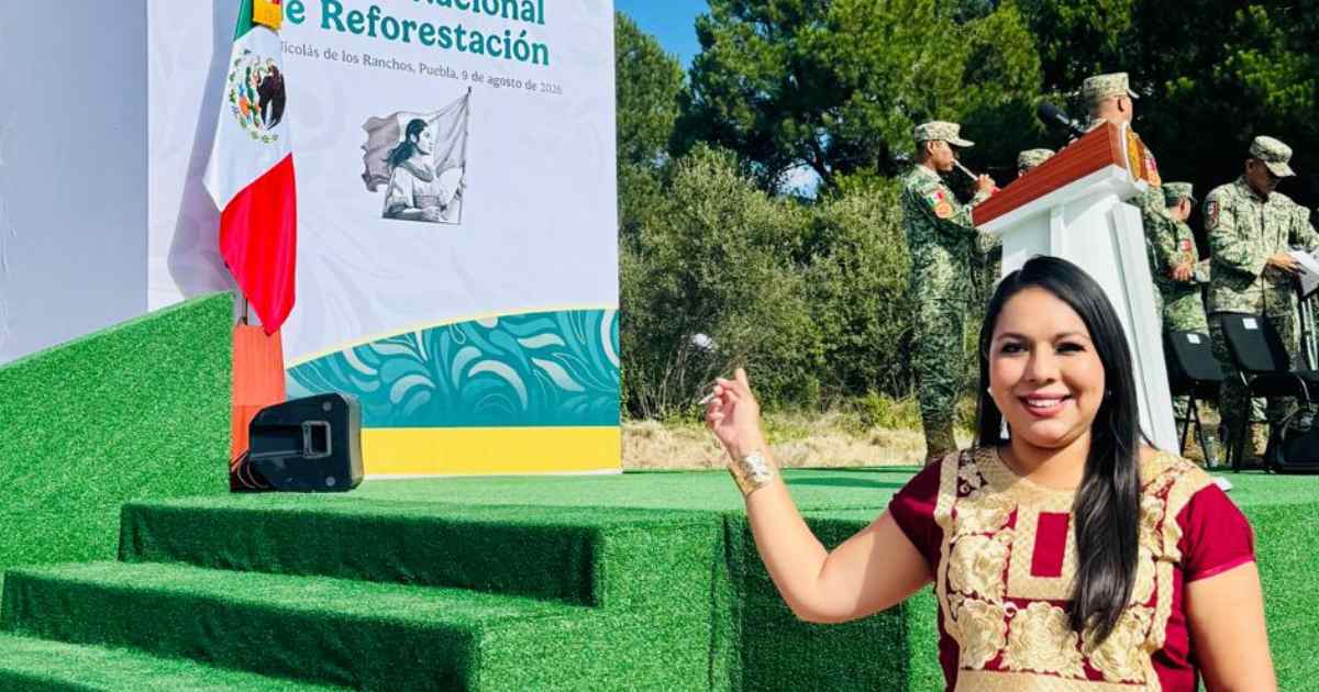 Tonantzin reforestación Tonantzin reforestación