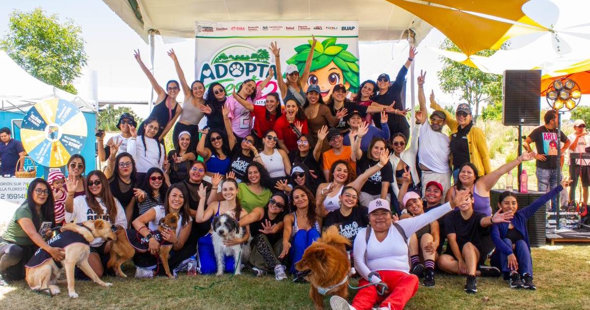 adopta adopta