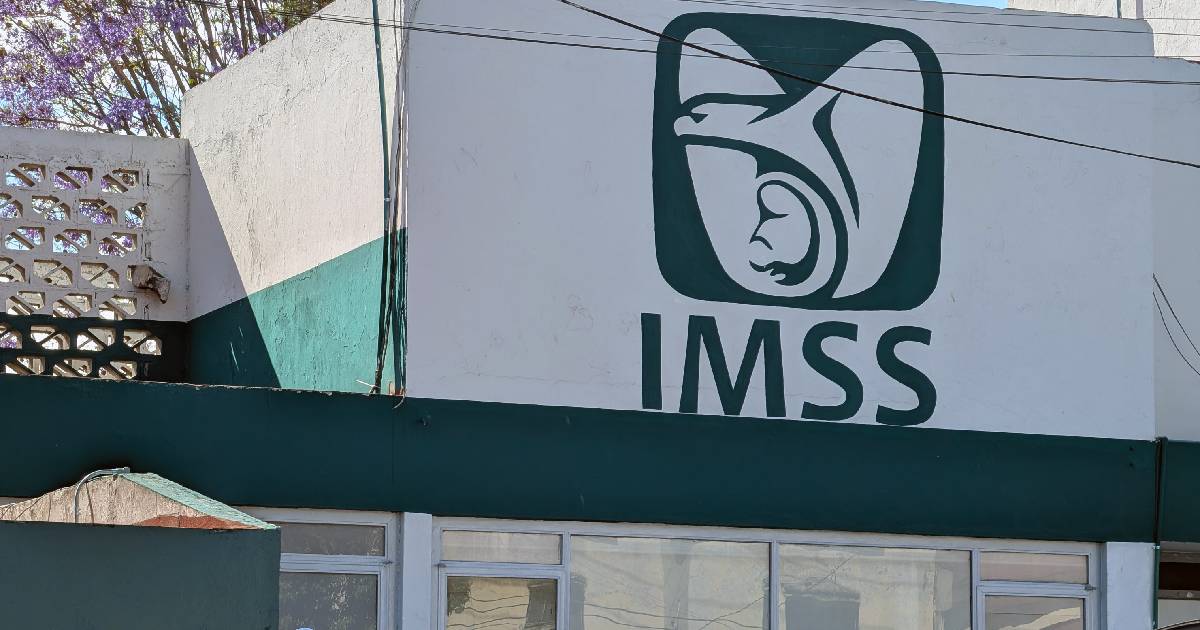 consultori imss