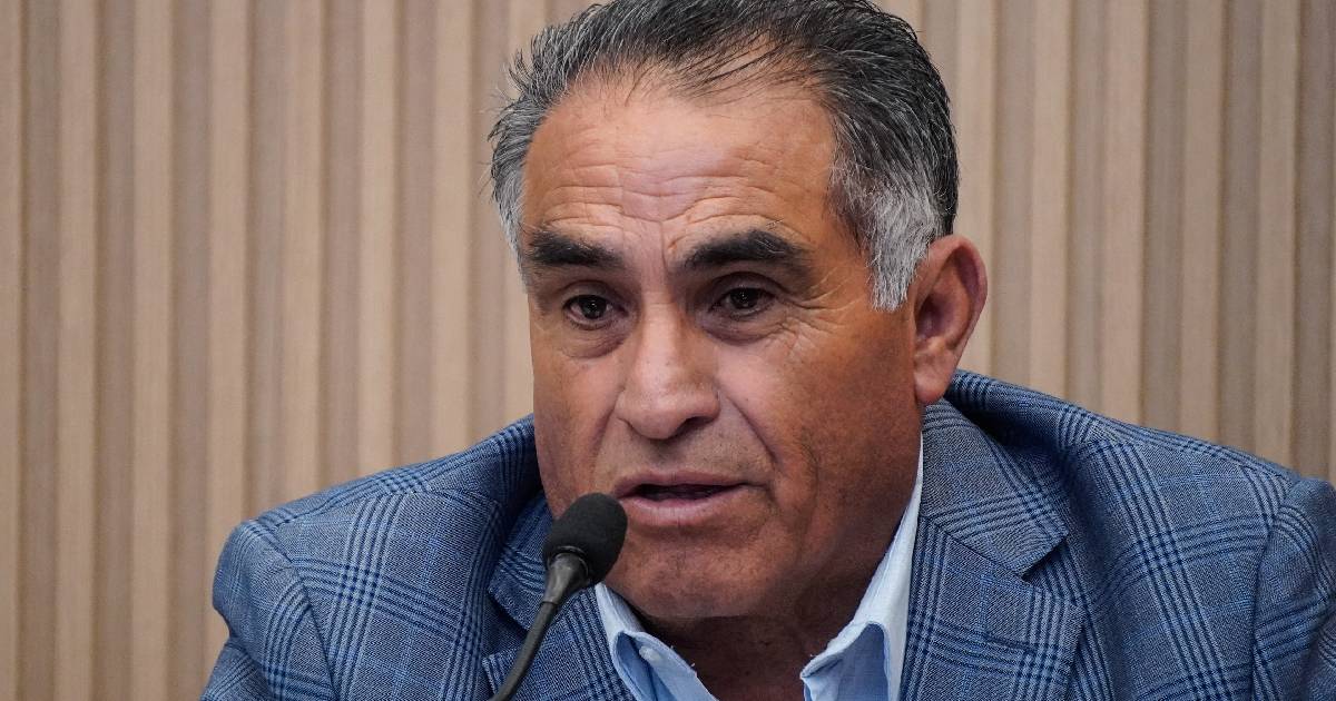 diputado