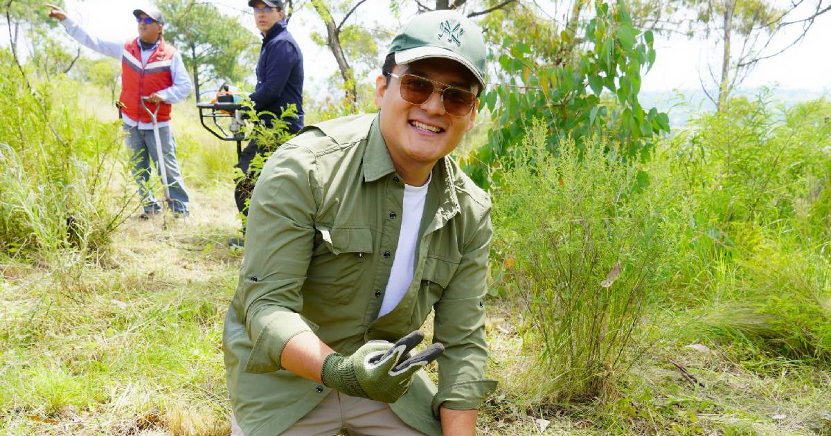 reforestacion