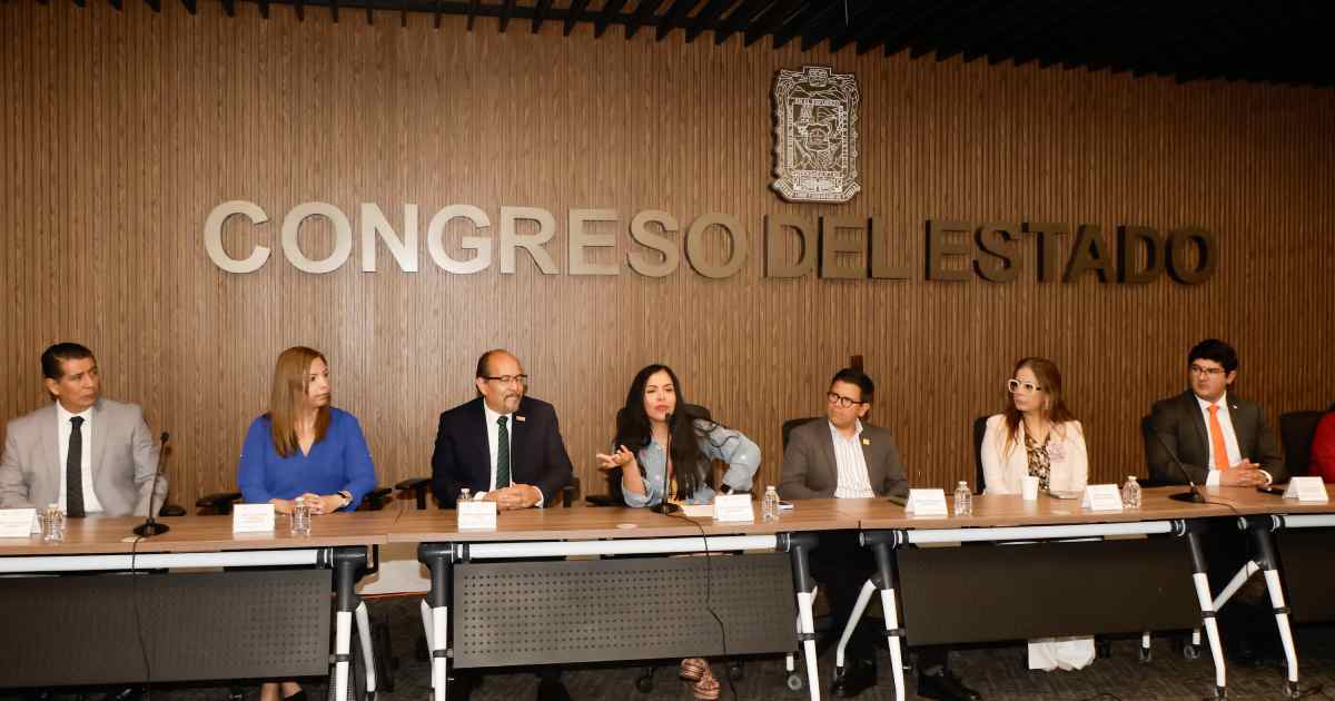 Alistan Ley de Participación Ciudadana