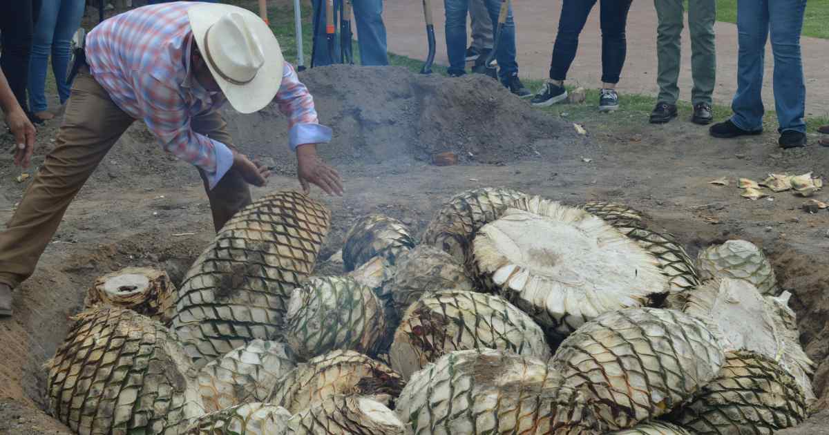 Mezcal