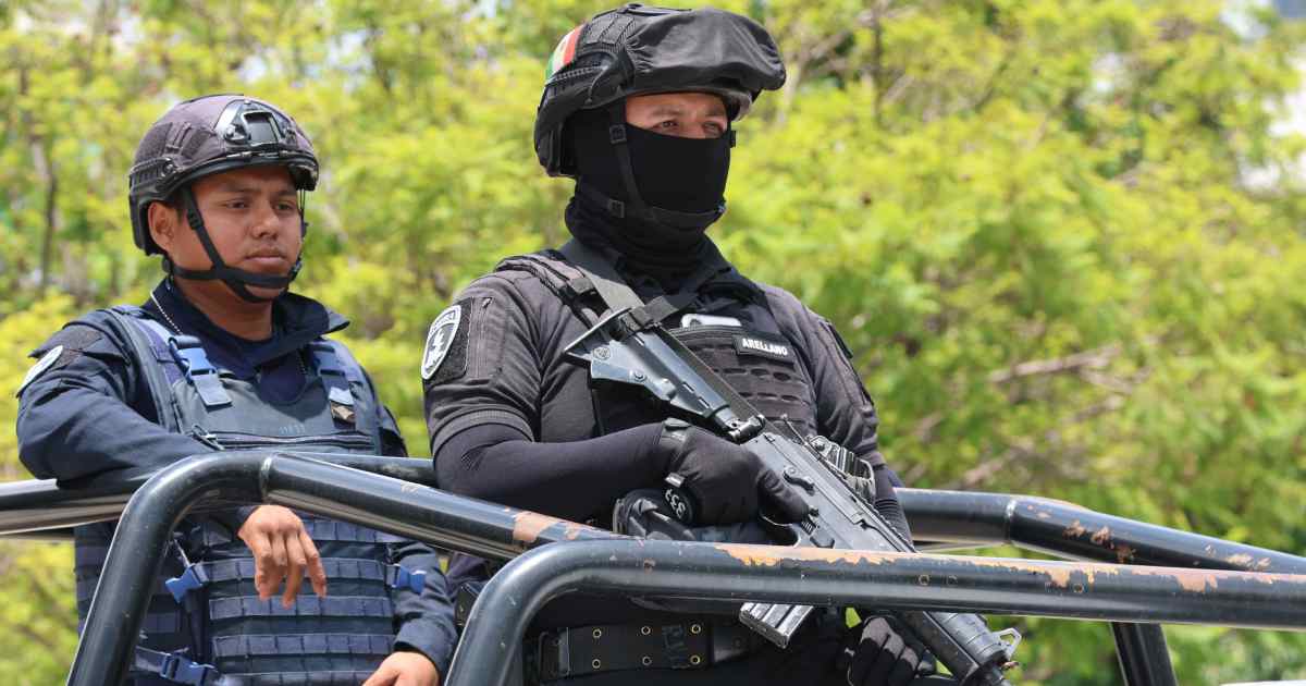 Seguridad estatal