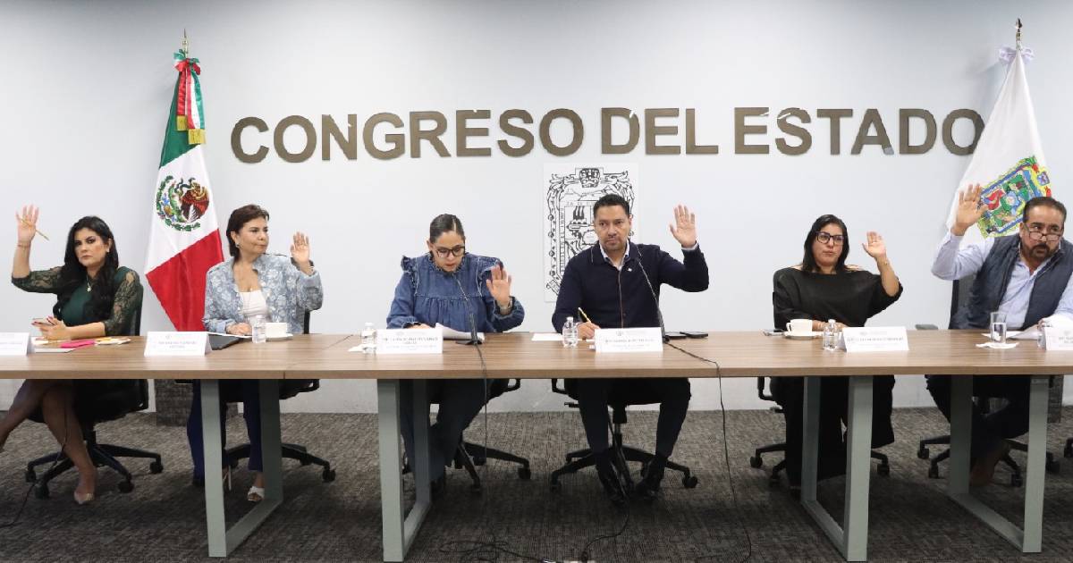 iniciativas Puebla iniciativas Puebla