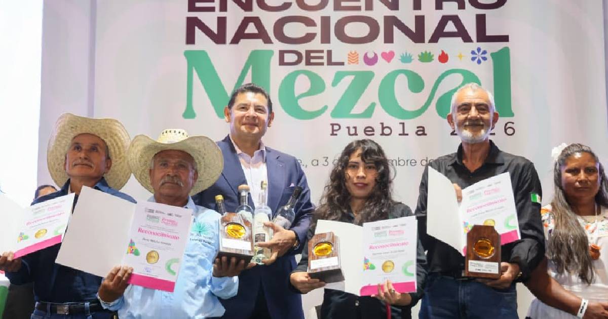 mezcal